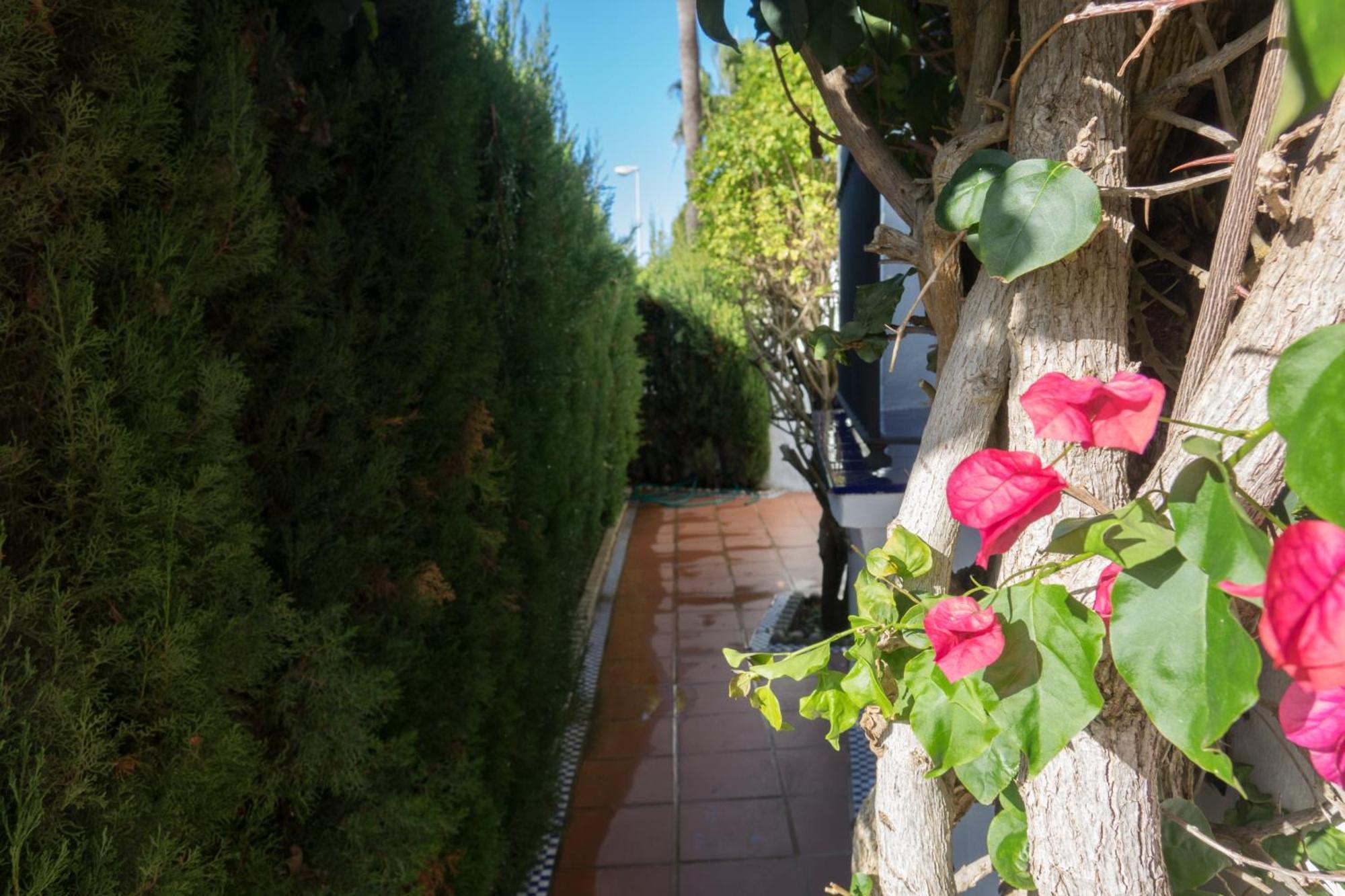 Apartamento Alextia La Barrosa Chiclana de la Frontera Exteriér fotografie